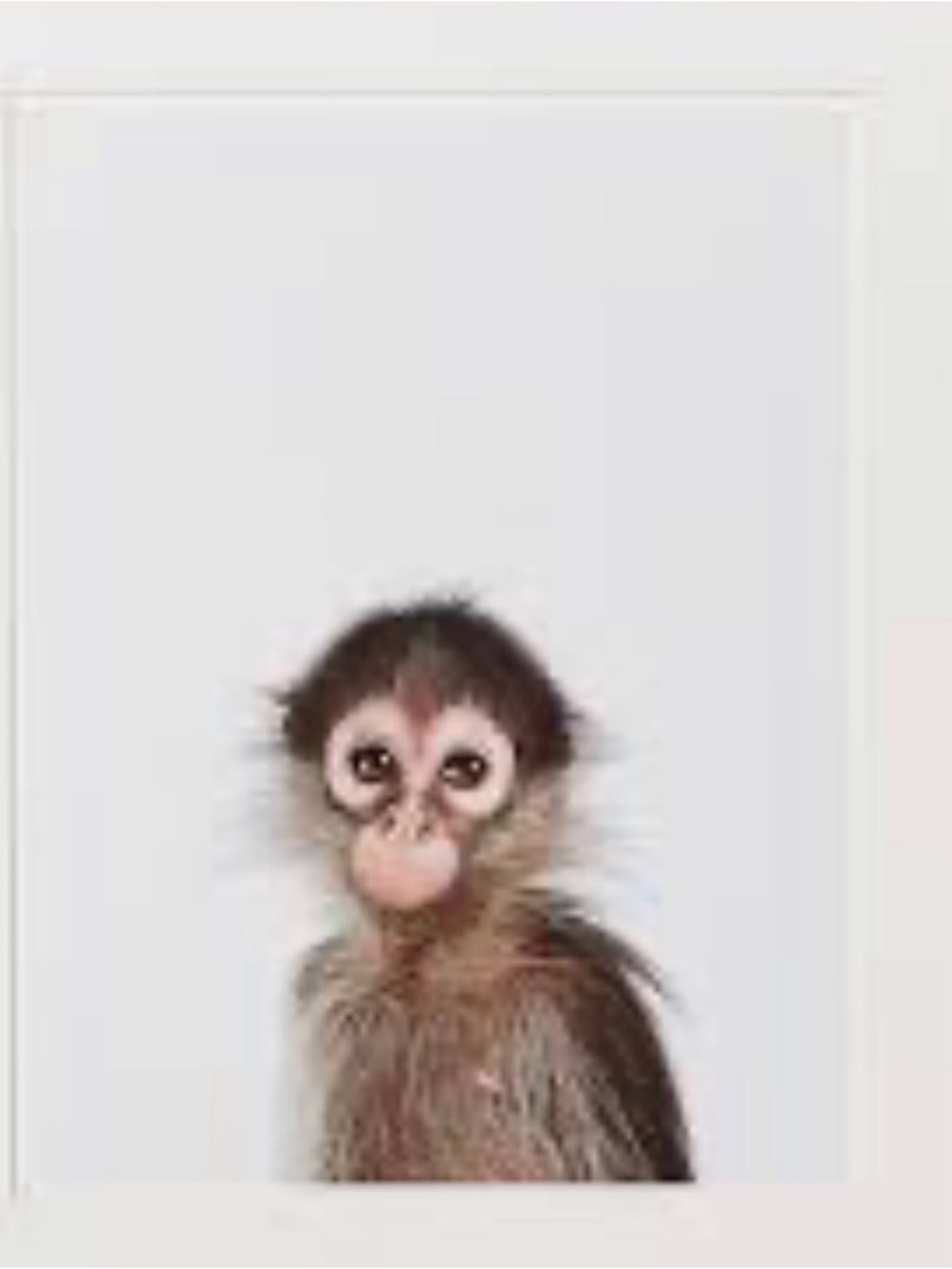 Baby Animals Monkey Art Print - Neutral Tones